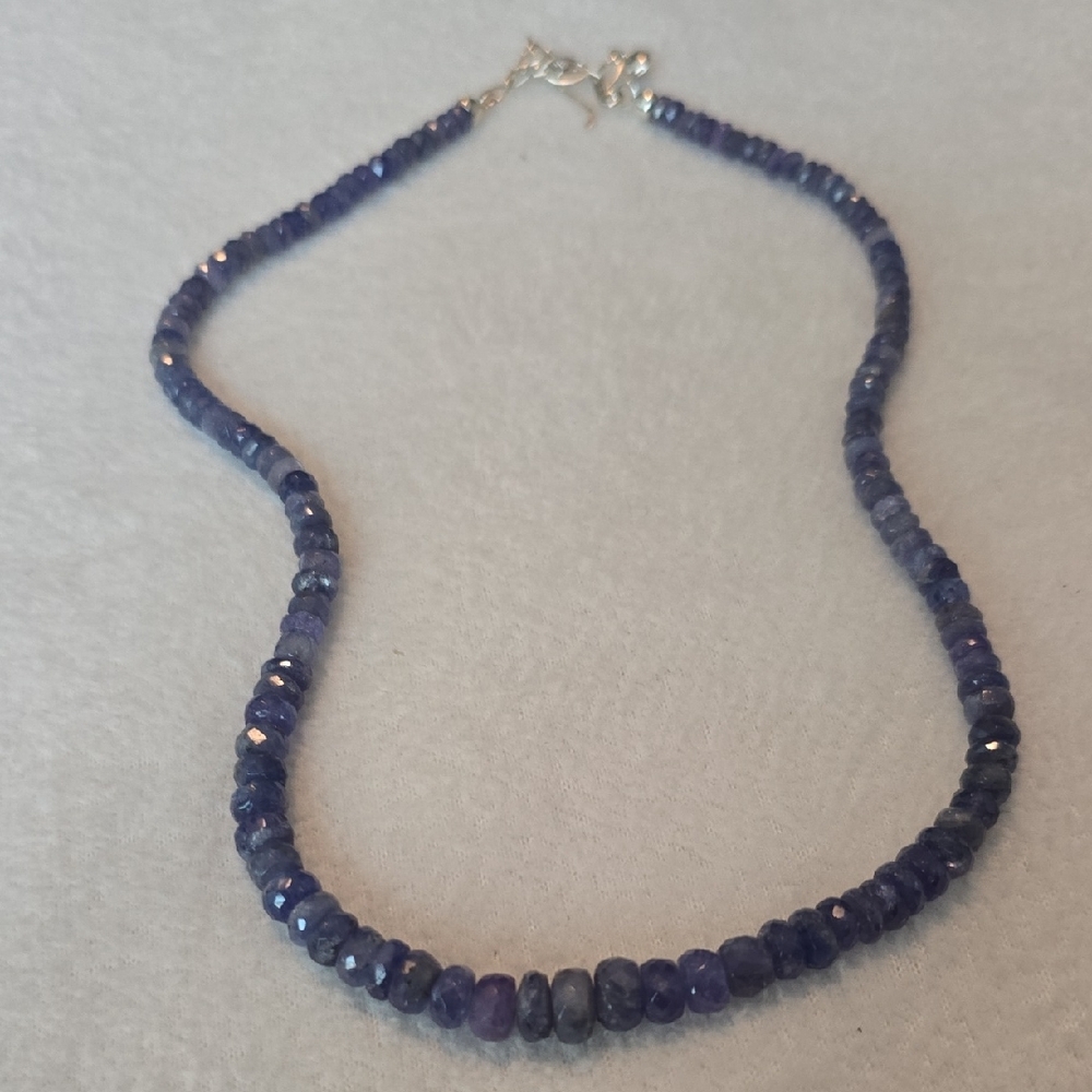 Elegant Blue Beaded Necklace - Picture 1 of 3